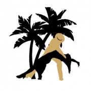 PremiumDance logo