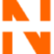 Nieves Latin Dance Studio logo